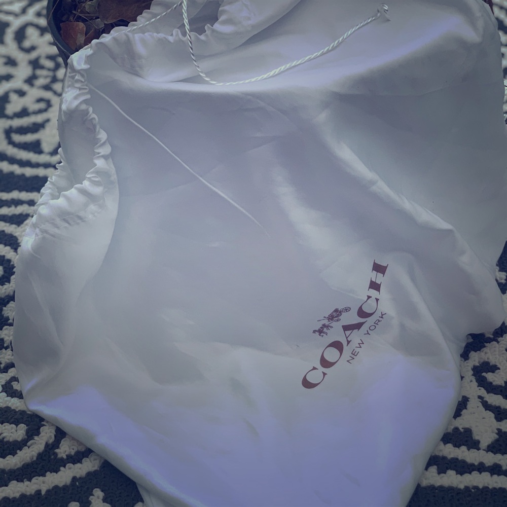 COPY - Coach dust bag